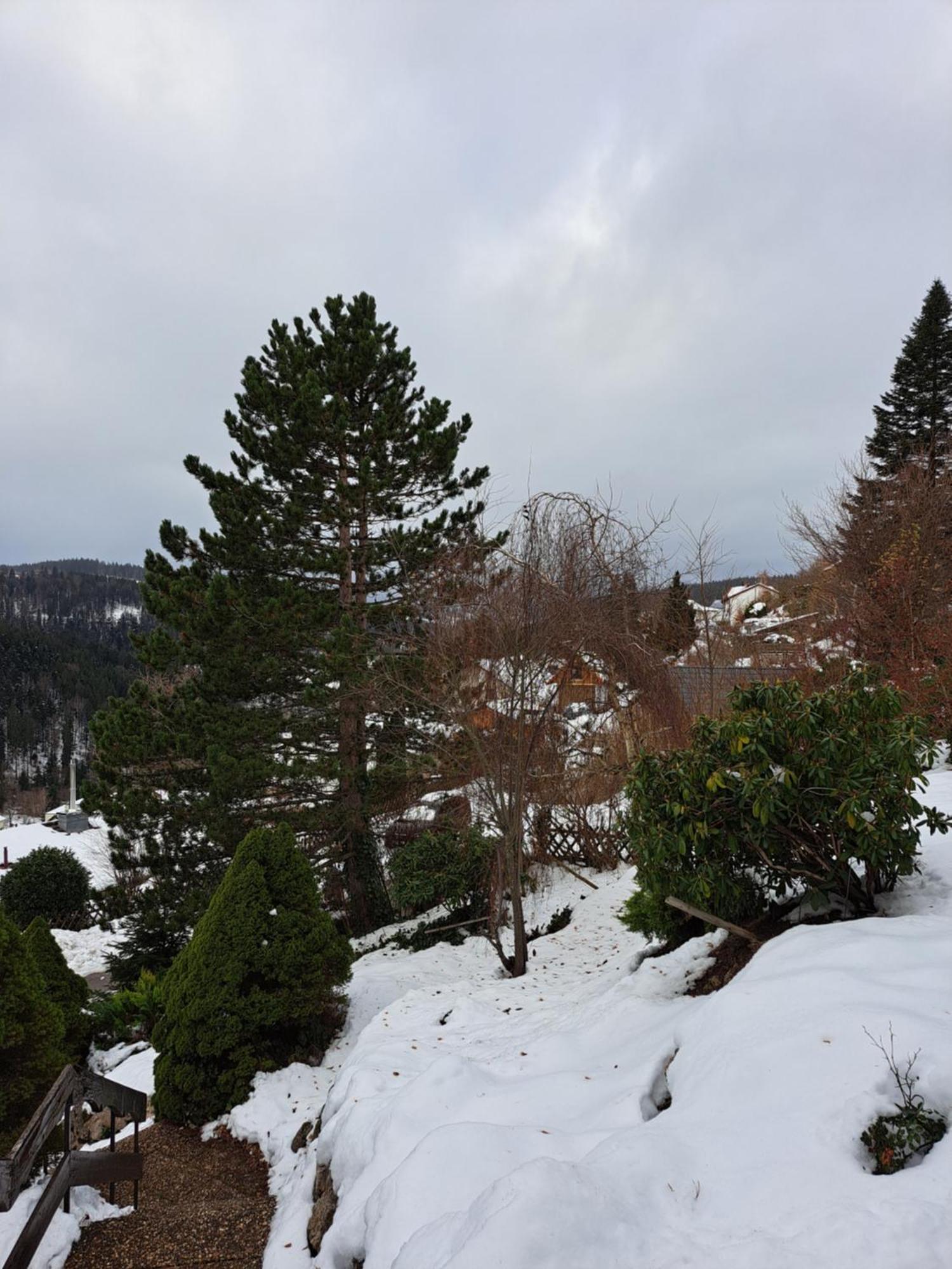 Grosse Ferienwohnung In Ruhiger Lage Mit Toller Aussicht In Triberg Triberg im Schwarzwald Dış mekan fotoğraf