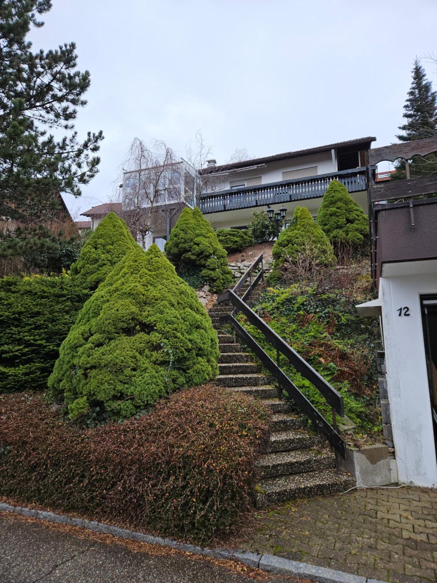 Grosse Ferienwohnung In Ruhiger Lage Mit Toller Aussicht In Triberg Triberg im Schwarzwald Dış mekan fotoğraf