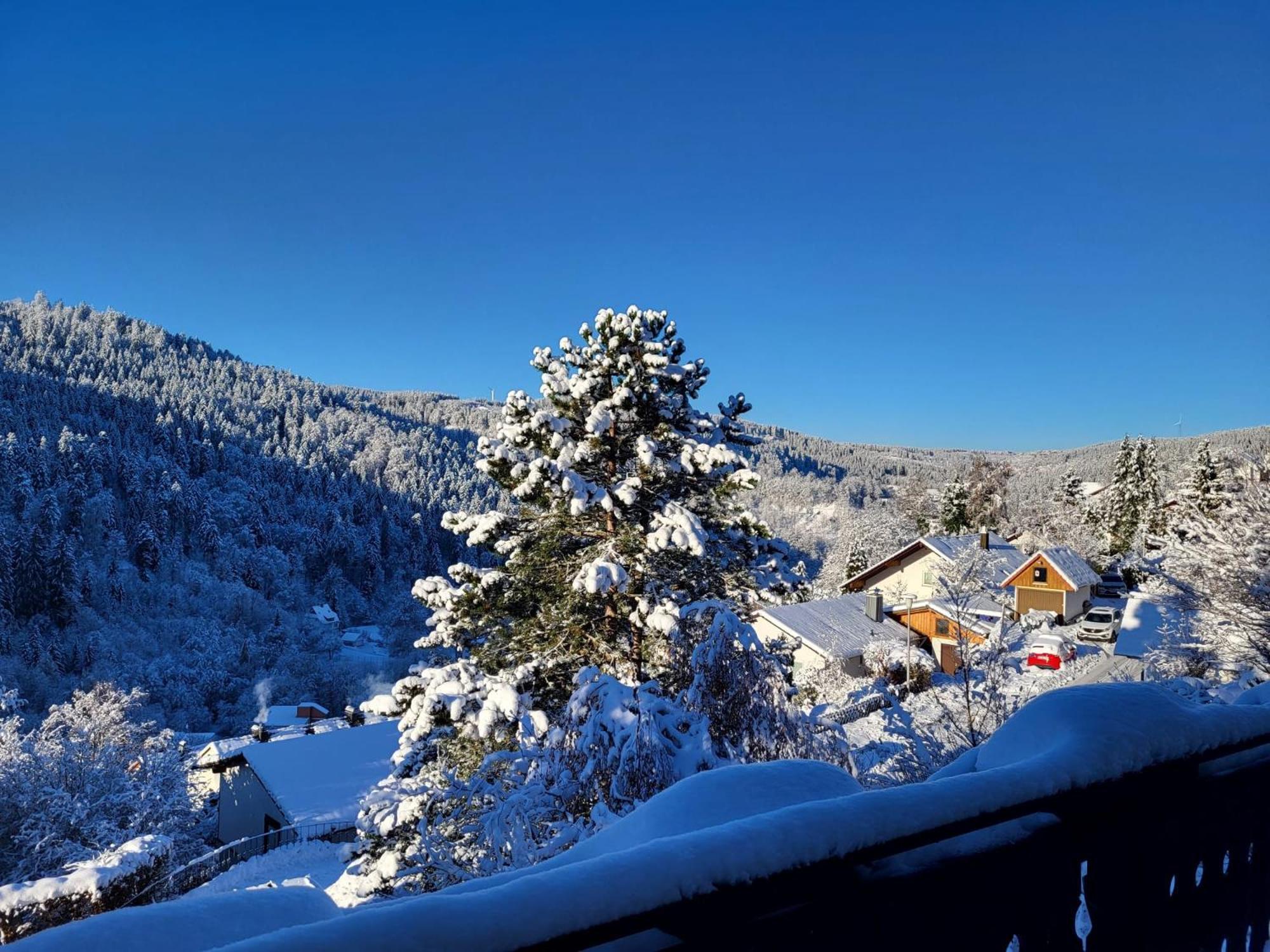 Grosse Ferienwohnung In Ruhiger Lage Mit Toller Aussicht In Triberg Triberg im Schwarzwald Dış mekan fotoğraf