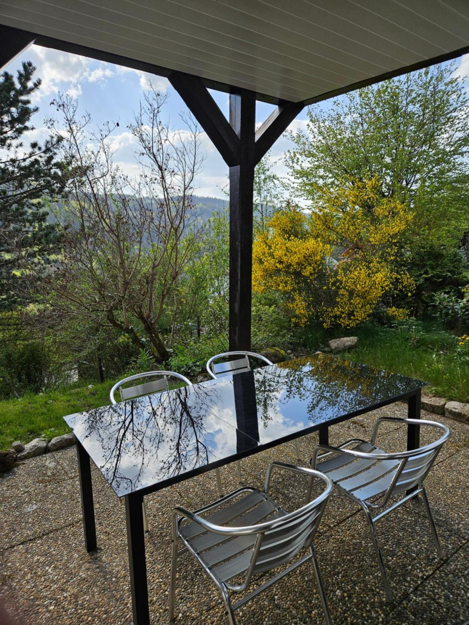 Grosse Ferienwohnung In Ruhiger Lage Mit Toller Aussicht In Triberg Triberg im Schwarzwald Dış mekan fotoğraf